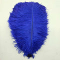 50pcs/lot Elegant Ostrich Feather 35-40cm 14-16inch Feathers for Crafts Wedding Party Supplies Carnival Dancer Decoration Plumes
