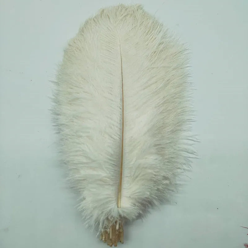 50pcs/lot Elegant Ostrich Feather 35-40cm 14-16inch Feathers for Crafts Wedding Party Supplies Carnival Dancer Decoration Plumes