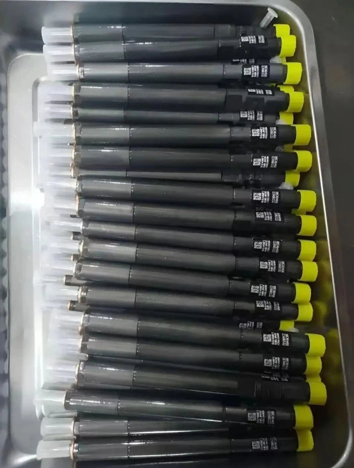 Common Rail Engine Fuel Diesel Injector Nozzles EJBR02601Z A6650170121 for Ssangyong Kyron Rexton Rodius 2.7 Xdi
