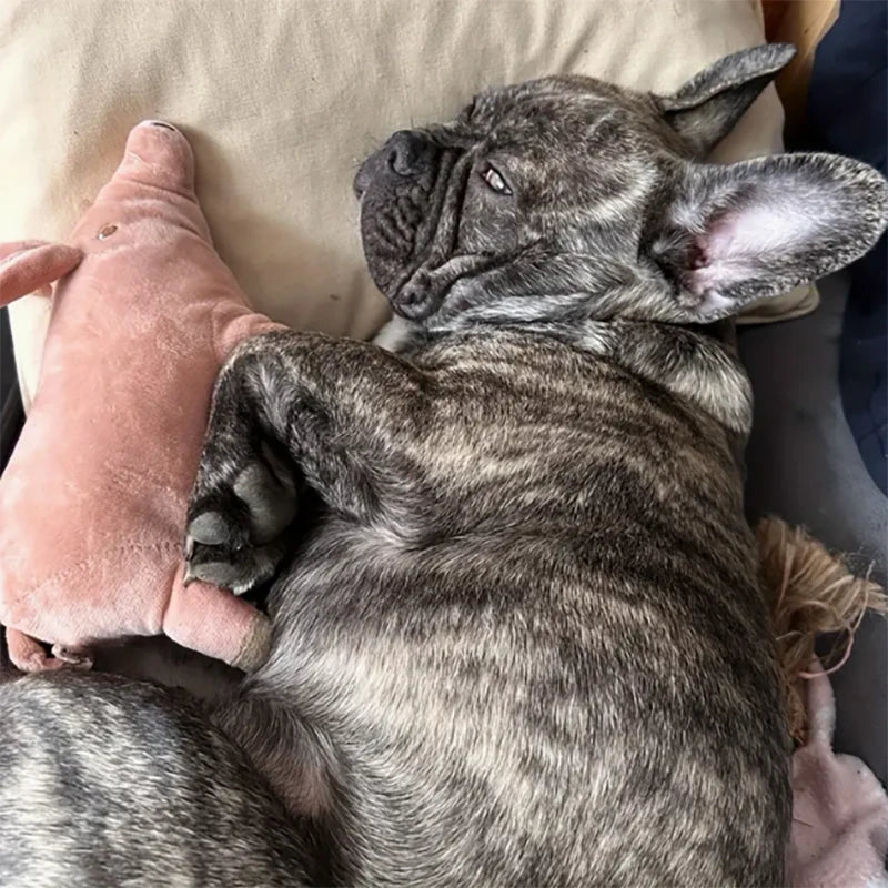 Simulation pig plush toy Internet celebrity old sow doll pet toy creative gift pillow doll doll