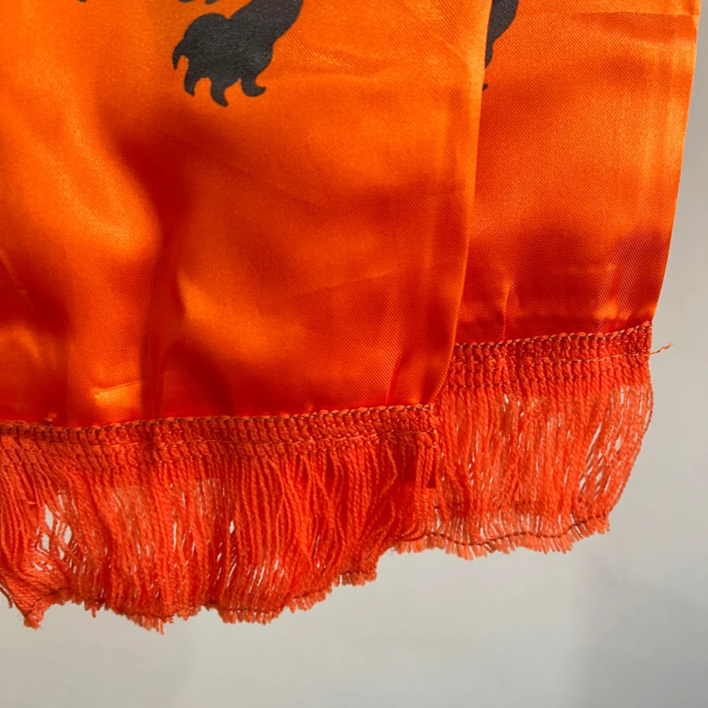 13*140cm double printedHolland Football SoccerNationaHollandl  Scarf sport decora