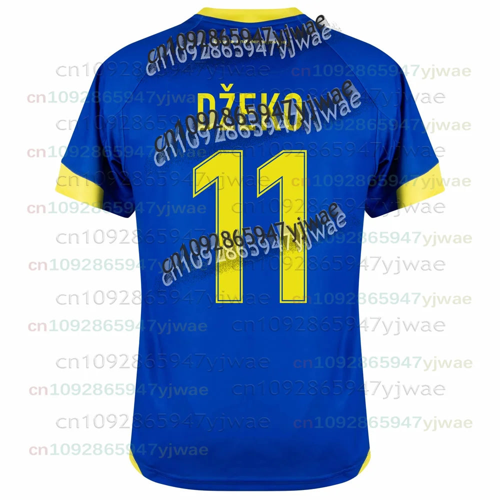 2026 Bosnia And Herzegovina Men's Sports Jersey Crew Neck T-shirt Quick Dry Breathable Football Training Shirt Sportswear Tops